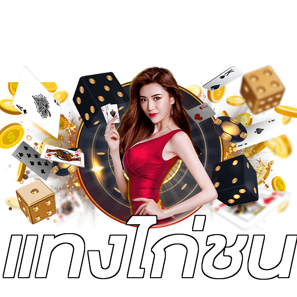 แทงไก่ชน